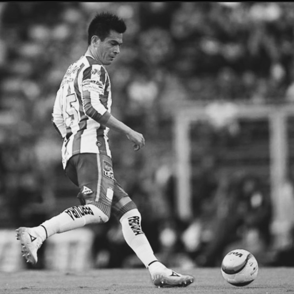 Foto 08-11-21 16 56 34.jpg